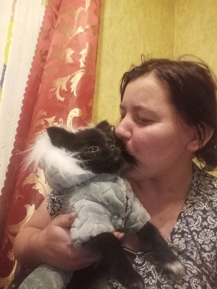 ���������� ����, ���� ������� ��������, 38 ���, ������������ ��� c�������� ���������