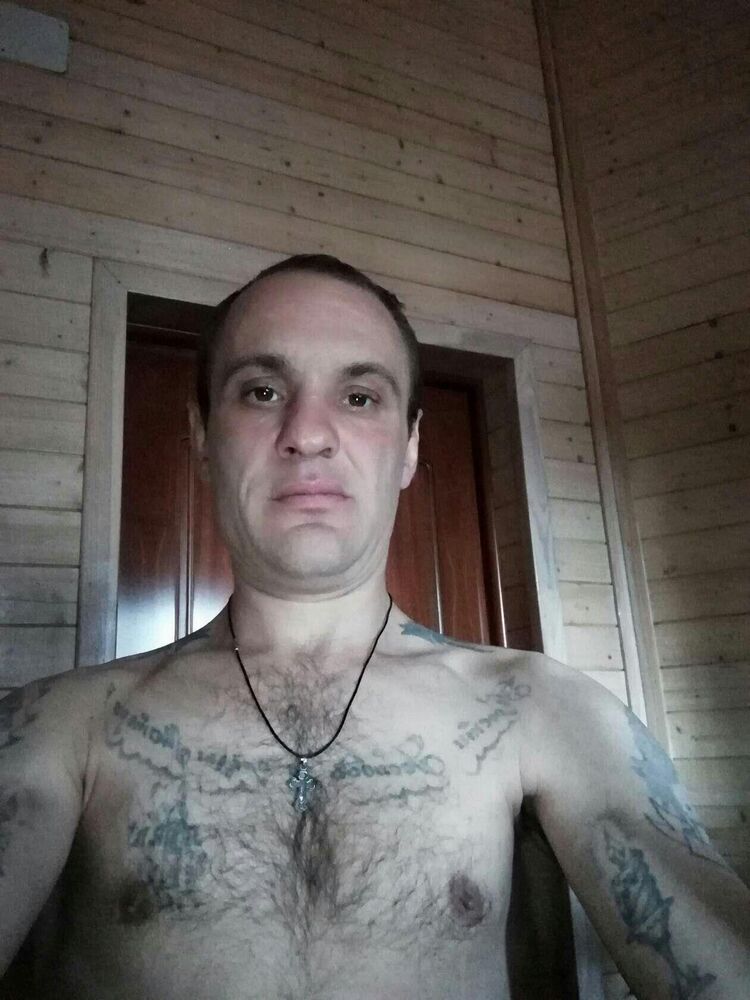  33668920  , 43 ,    