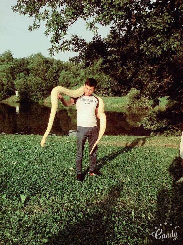 ���������� ������, ���� ������� ����, 34 ����, ������������ ��� ������, ����� � ���������