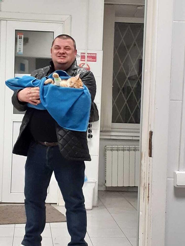  42187050  , 43 ,    -