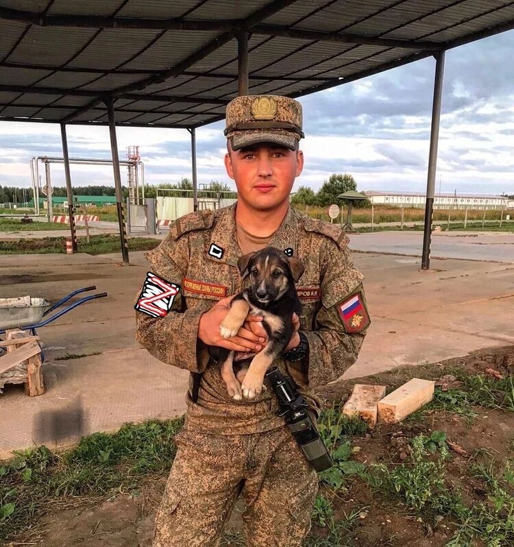 ���������� ������, ���� ����� ������, 25 ���, ������������ ��� ������, ����� � ���������