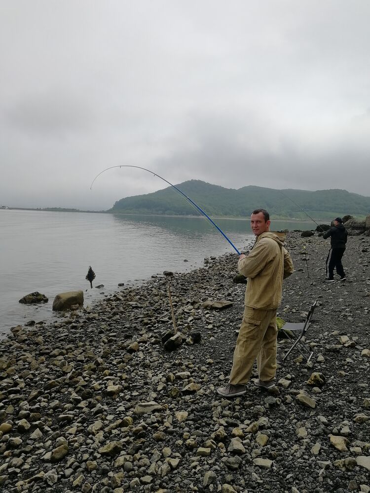 ���� 49856930 ������� ����, 38 ���, ���� ���������� � ������� ������