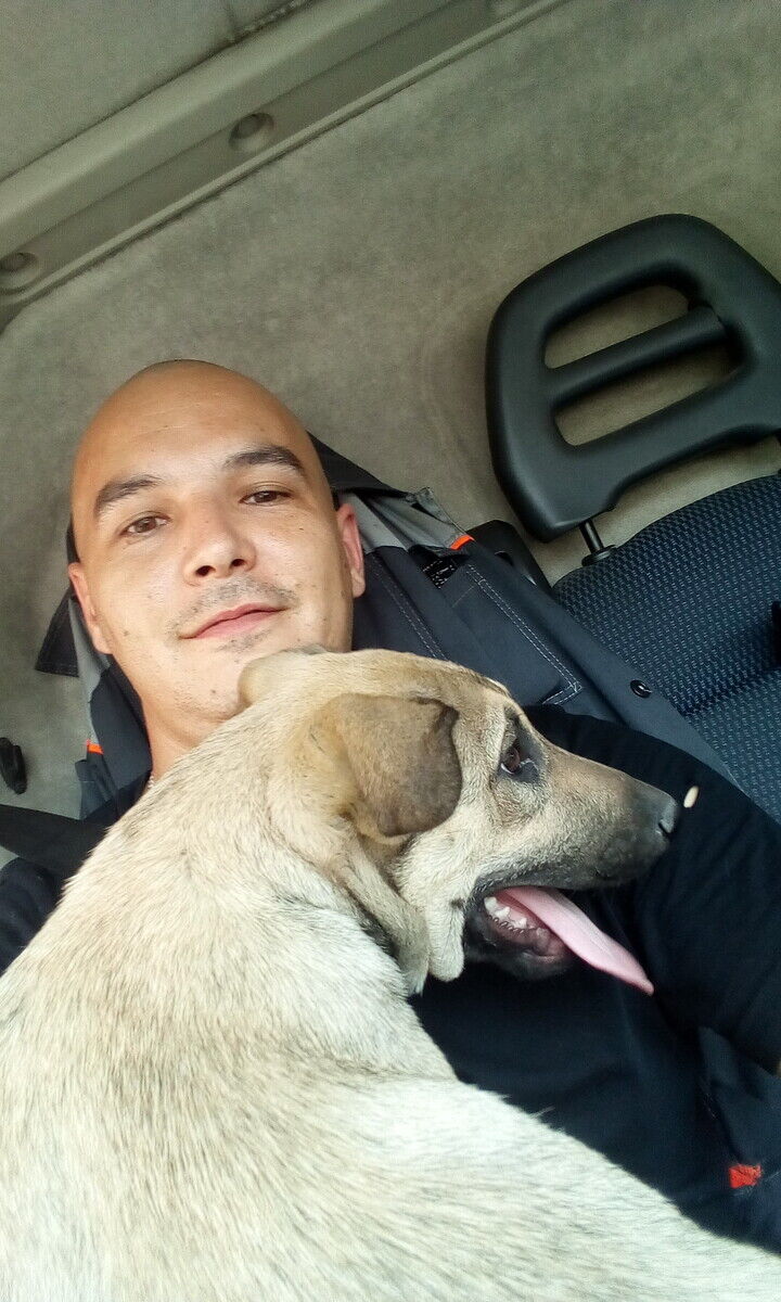 ���������� ������������, ���� ������� �����, 33 ����, ������������ ��� ������, ����� � ���������, c�������� ���������