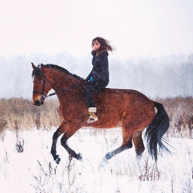 ���������� ������, ���� ������� ���������, 31 ���, ������������ ��� ����� � ���������, c�������� ���������