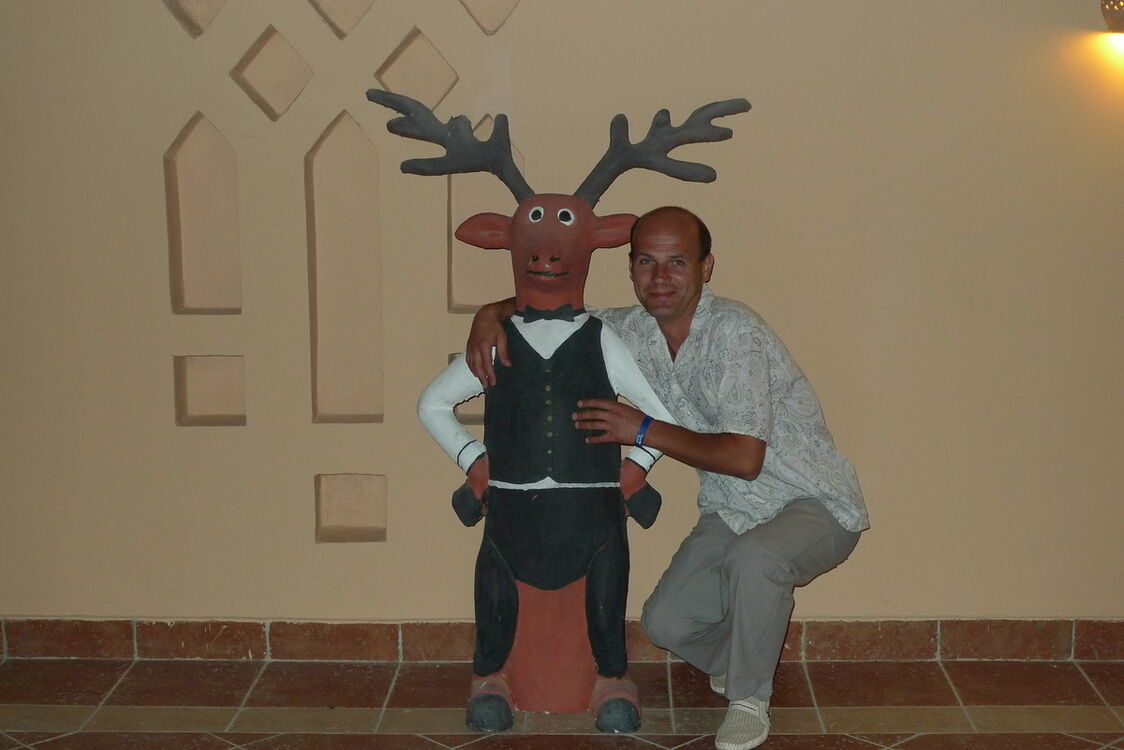   ,   , 47 ,  