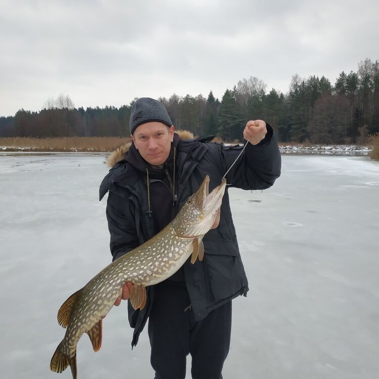 ���� 15424900 ������� ������, 46 ���, ���� ���������� � ������