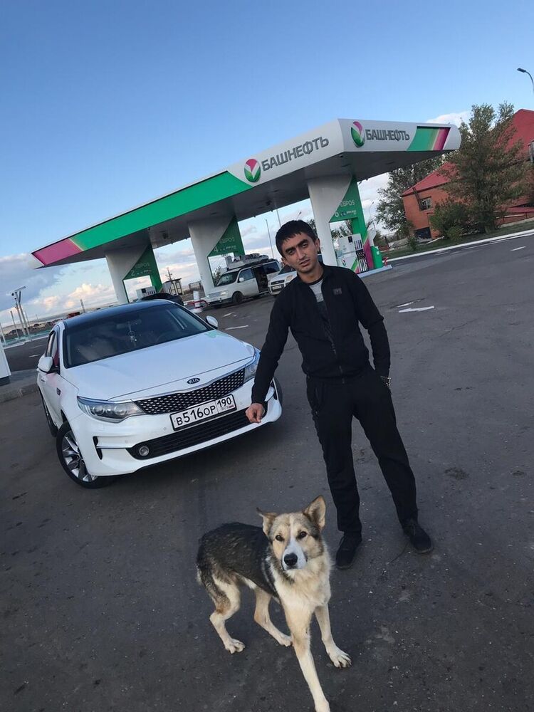 ���������� �����, ���� ������� ������, 33 ����, ������������ ��� ������, ����� � ���������, c�������� ���������