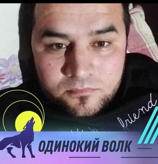  40832670  , 36 ,    