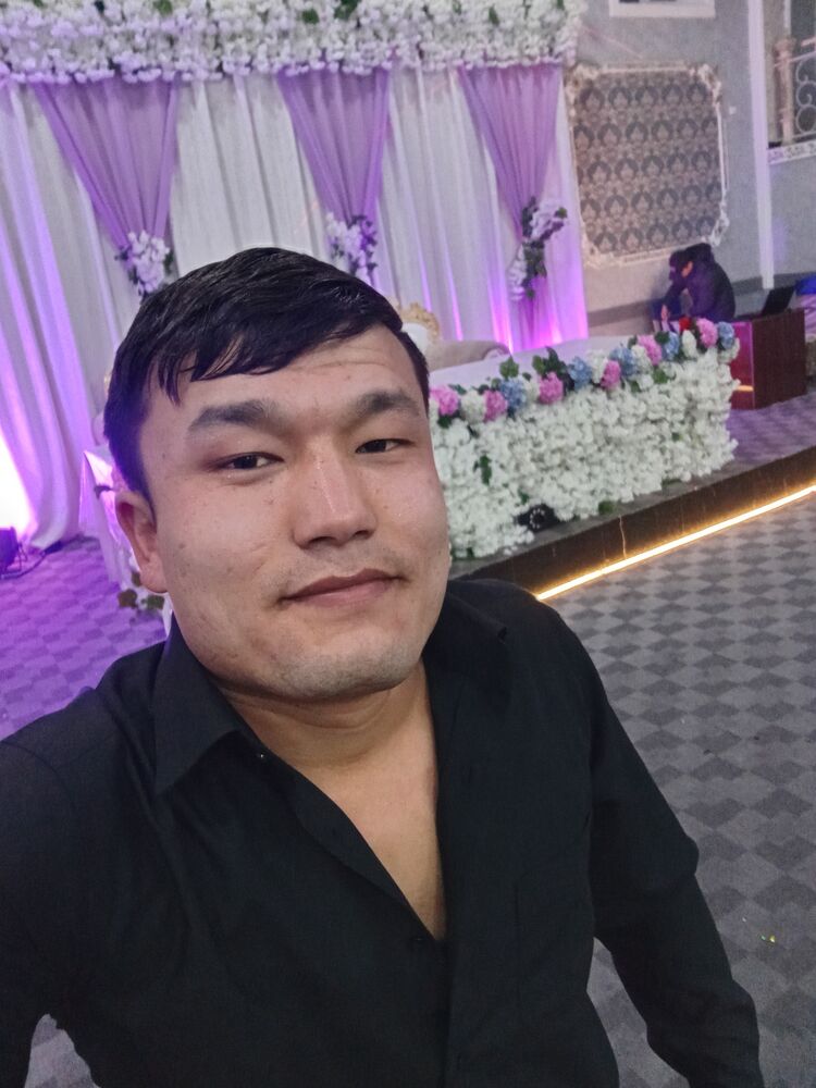  49502320  , 24 ,    