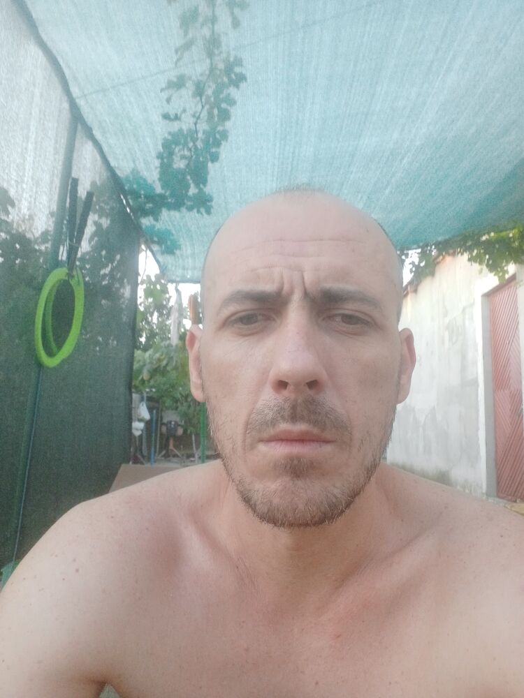  49910510  , 41 ,    