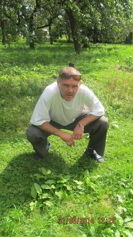  ,   , 53 ,   