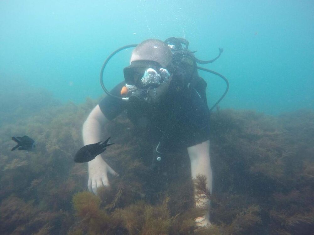 ���������� ��������, ���� ������� ������, 45 ���, ������������ ��� ������, ����� � ���������, c�������� ���������