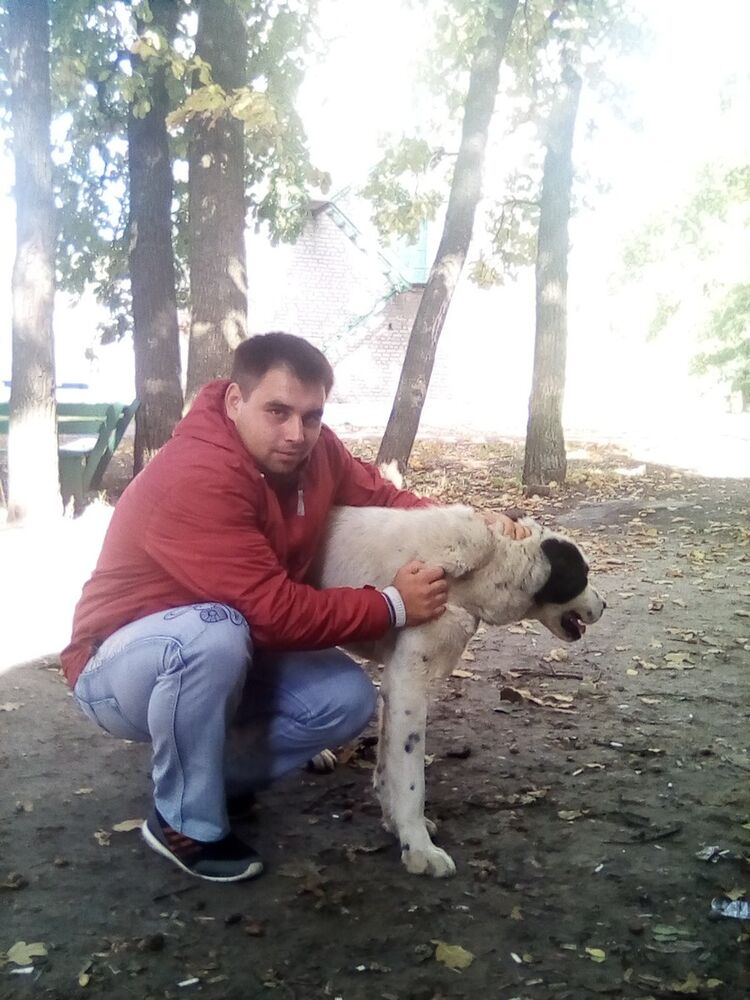  ,   , 29 ,   ,   , c , 