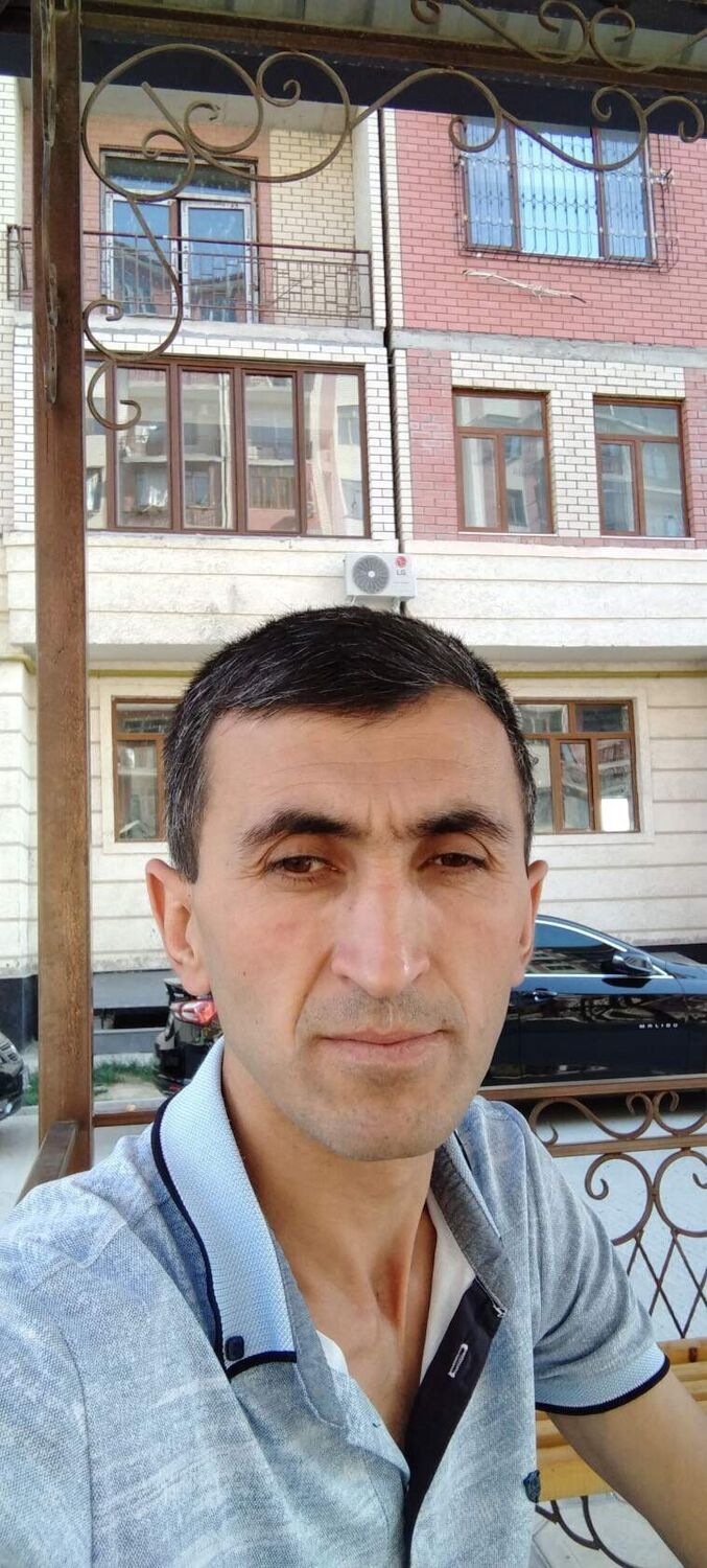  53074880  , 41 ,    