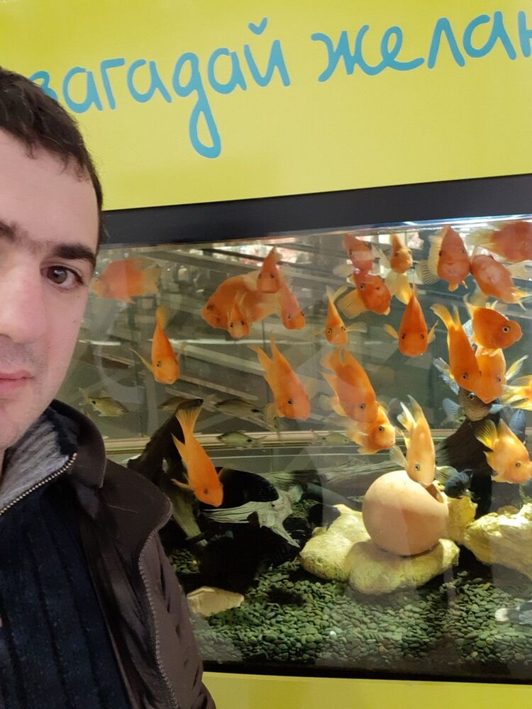 ���������� ������, ���� ������� �����, 36 ���, ������������ ��� ������, ����� � ���������, c�������� ���������