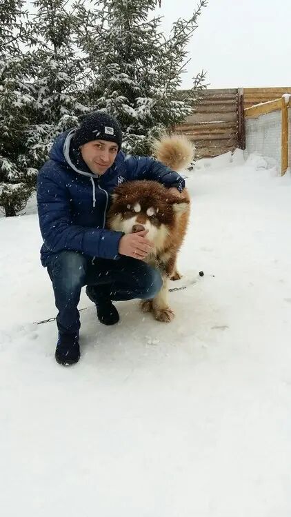  ,   Sergey, 37 ,   ,   