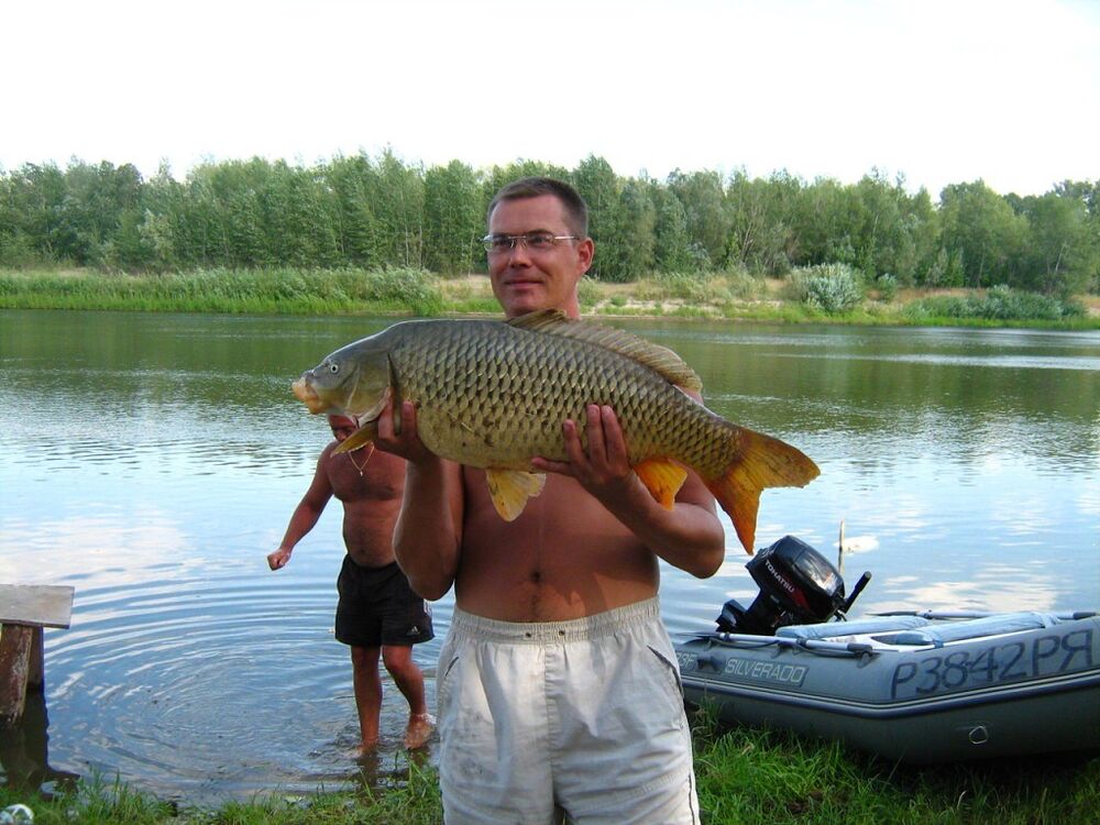  7959830  Evgeny, 51 ,    