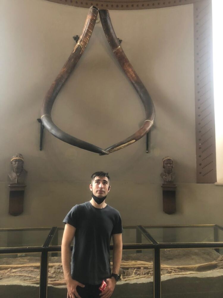 ���������� �������, ���� ������� ����, 28 ���, ������������ ��� ����� � ���������, c�������� ���������