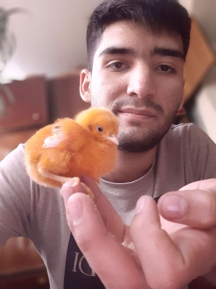 ���������� �������, ���� ������� Timur, 27 ���, ������������ ��� ������, ����� � ���������