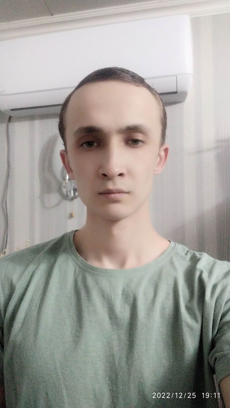  31585130  , 24 ,    