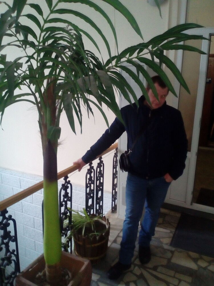 ���� 15237540 ������� ����, 39 ���, ���� ���������� � ������