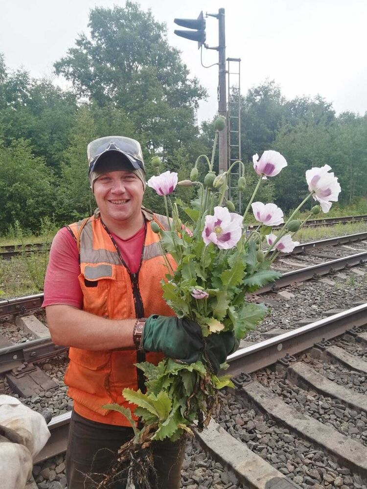 ���������� ���������, ���� ������� ����, 41 ���, ������������ ��� ������, ����� � ���������, c�������� ���������, ���������