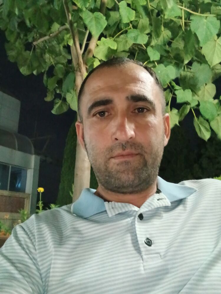  53965640  , 43 ,    --