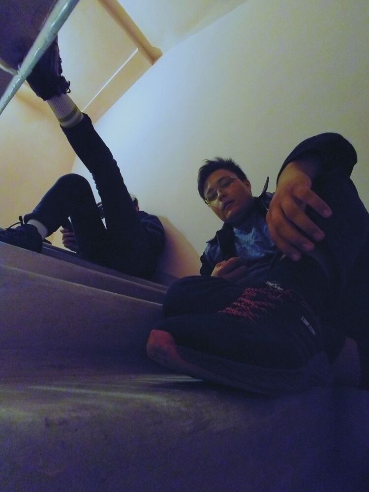 ���� 44213150 ����� Gido, 22 ����, ���� ���������� � ����������