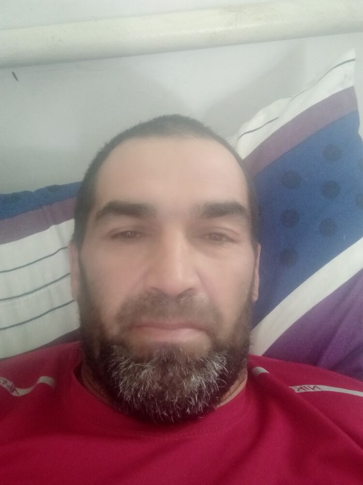  43888850  , 46 ,    