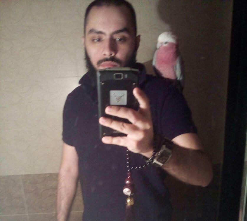  53831780  Safwan, 36 ,    