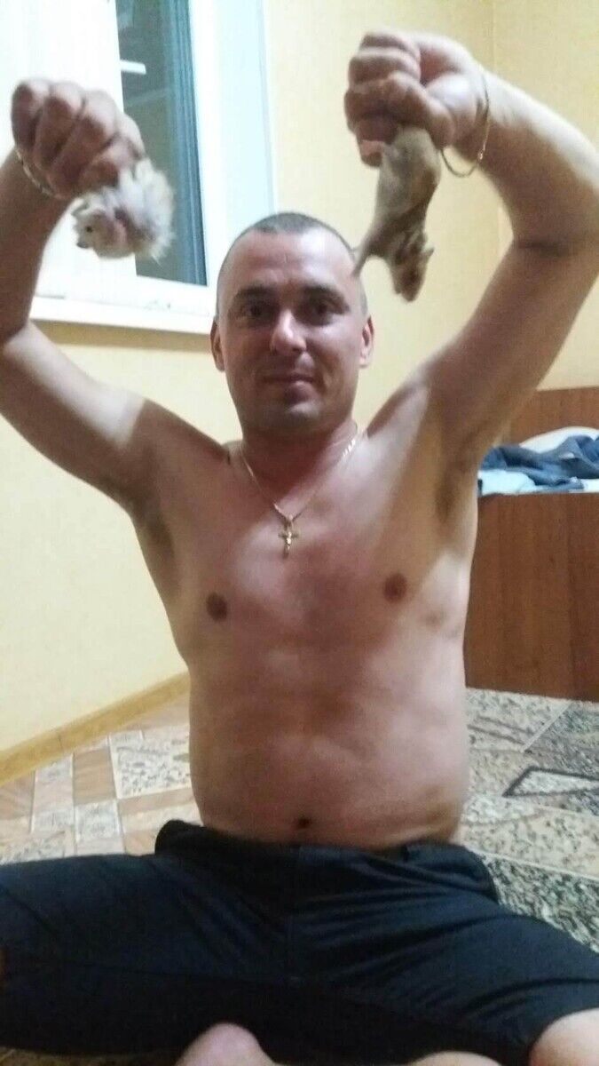  20352550  , 41 ,    