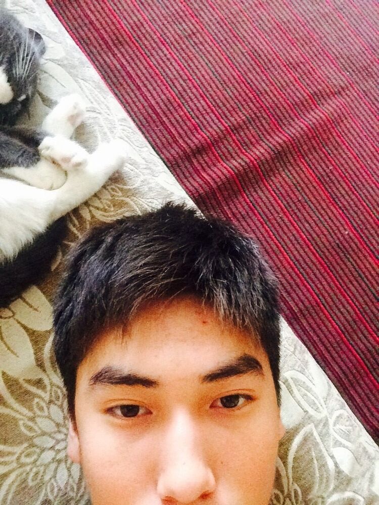 ���������� ��������, ���� ������� ��������, 29 ���, ������������ ��� ������, ����� � ���������, c�������� ���������