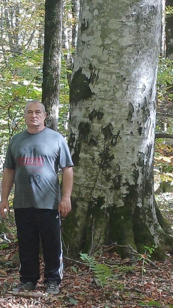  ,   , 59 ,   ,   , c 