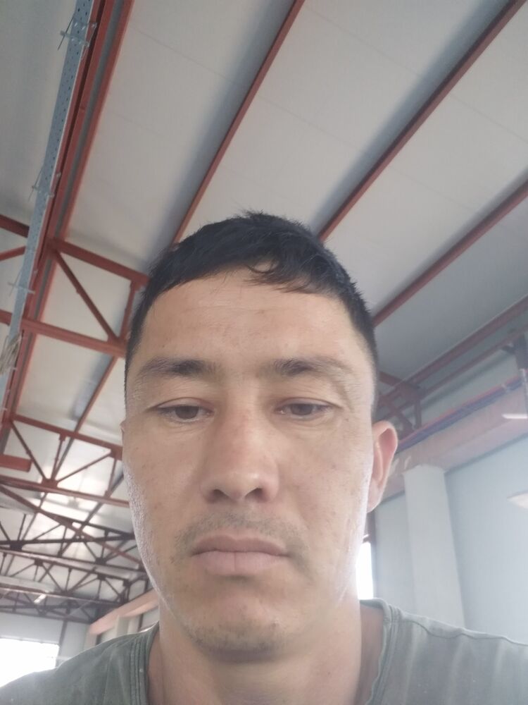  36374690  Ara, 37 ,    