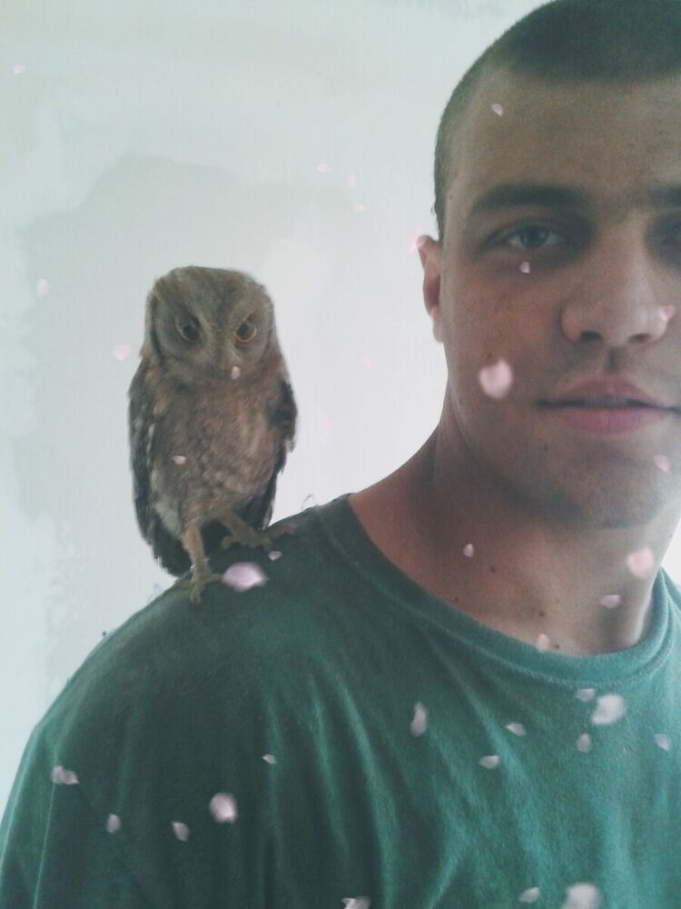 ���� 21016640 ������� ������, 29 ���, ���� ���������� � ���������