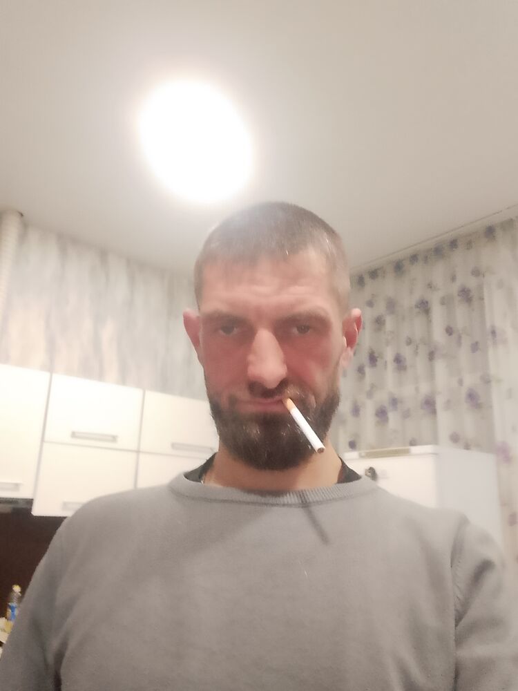  49663730  , 41 ,    