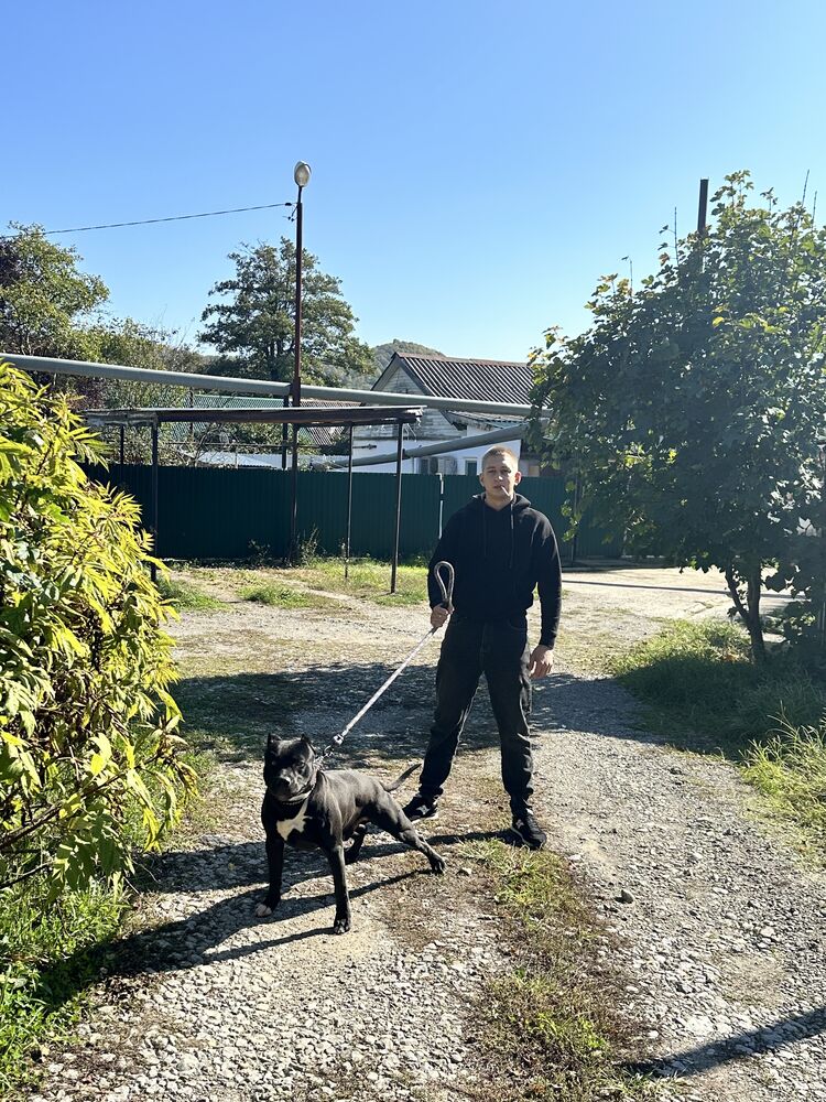 ���� 49055330 ����� �����, 25 ���, ���� ���������� � �������