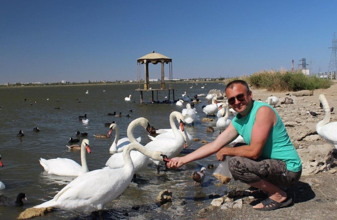 ���� 55013450 ������� Andrew, 55 ���, ���� ���������� � ��������