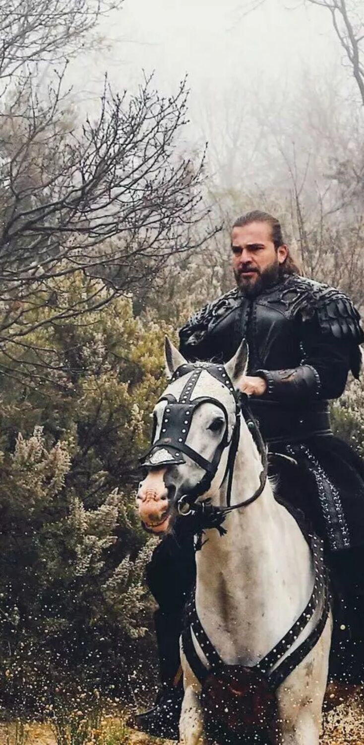 ���� 38256100 ������� ������, 28 ���, ���� ���������� � �������������