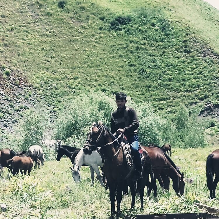 ���� 27372760 ������� ���, 27 ���, ���� ���������� � �������