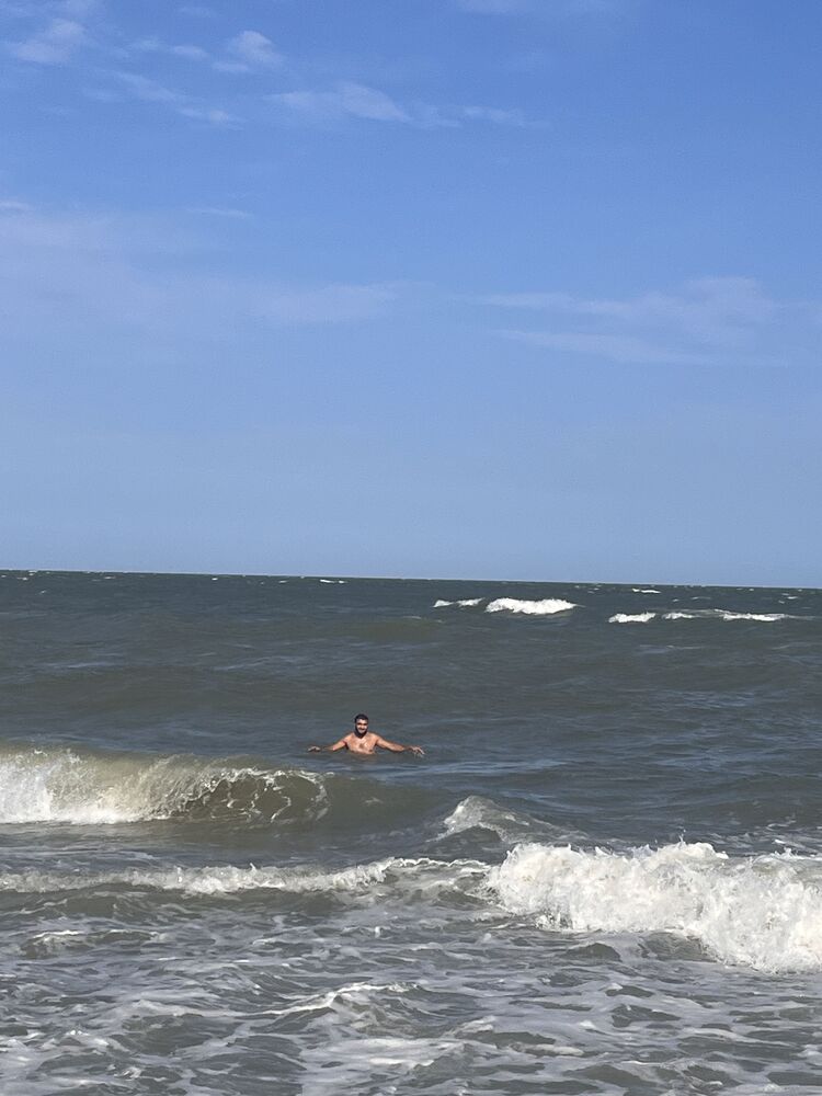  41488440  , 29 ,    
