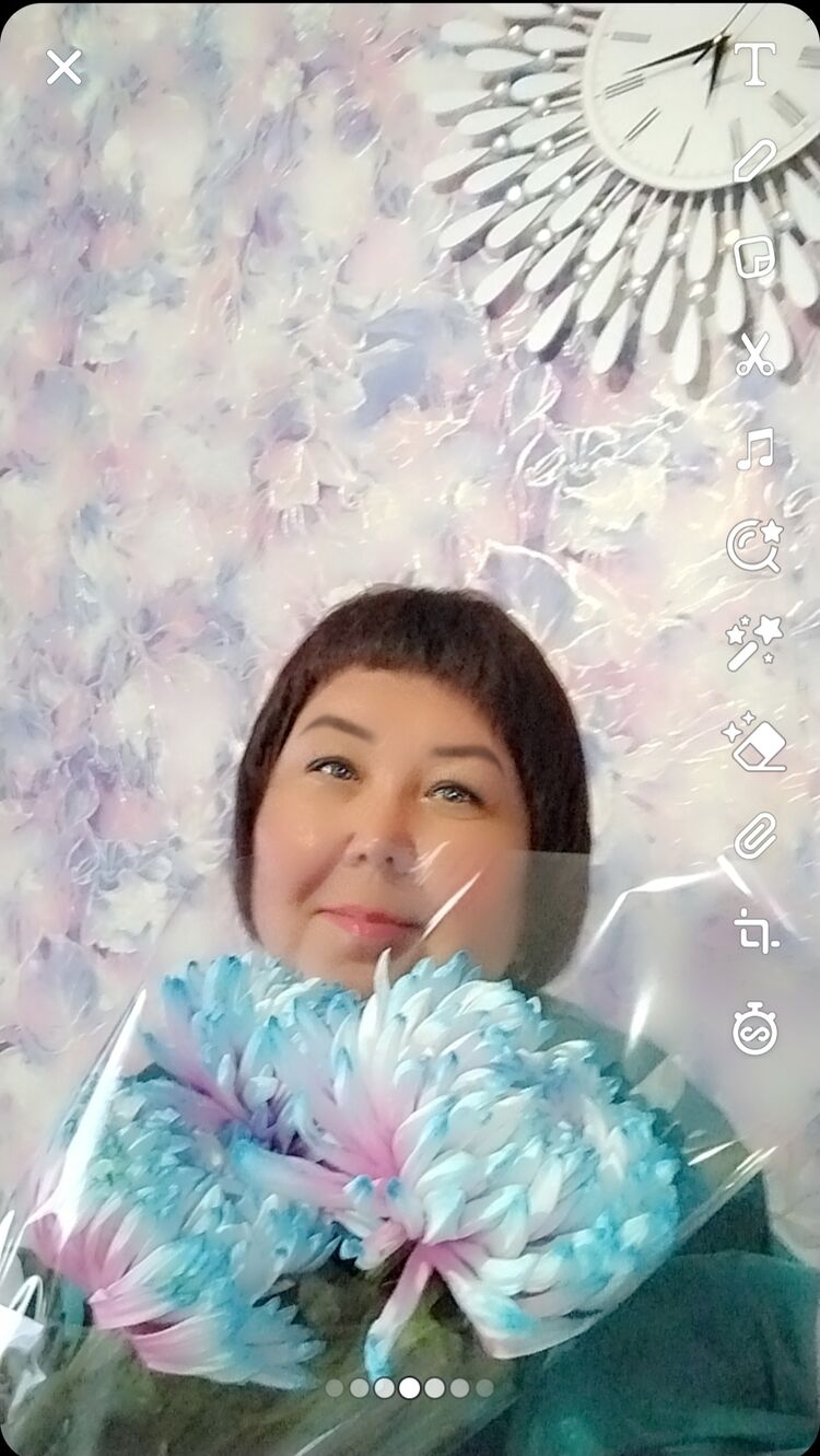  48087090  , 55 ,    