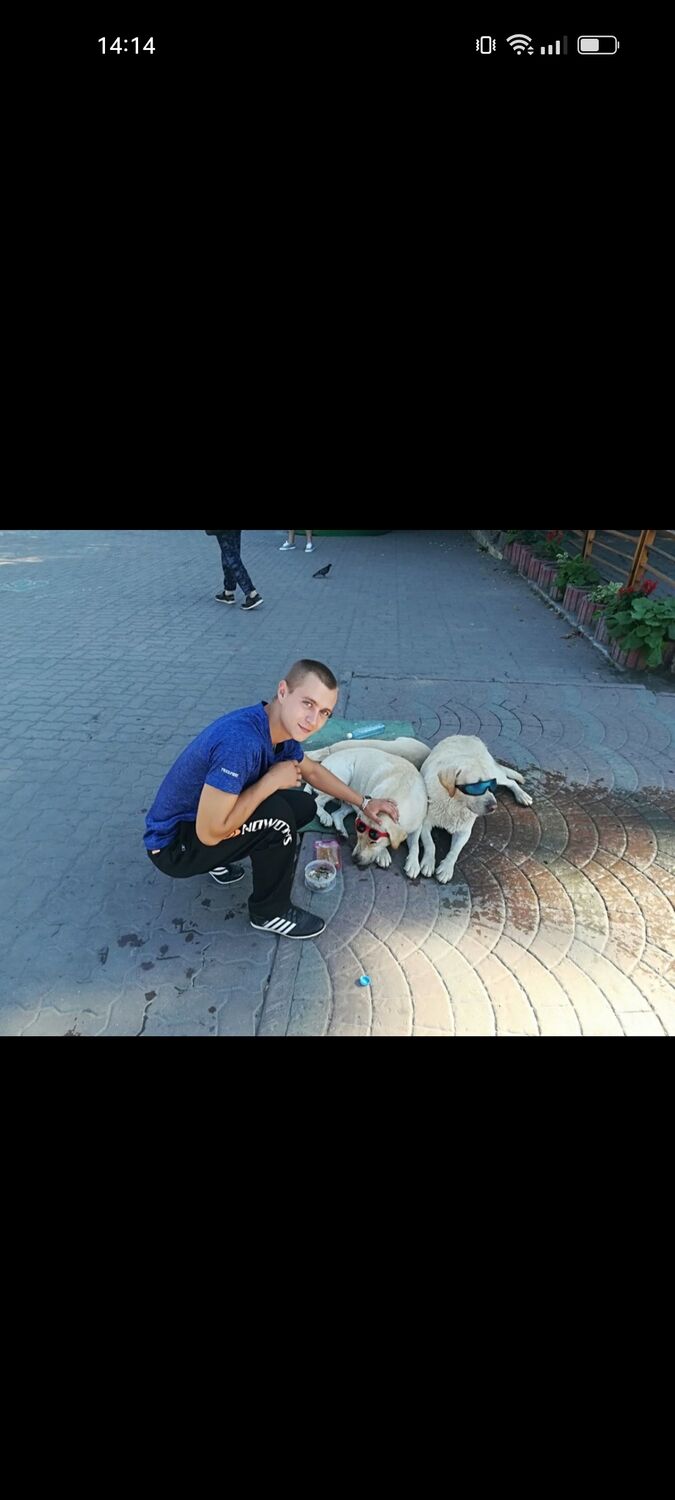  33054950  , 30 ,    
