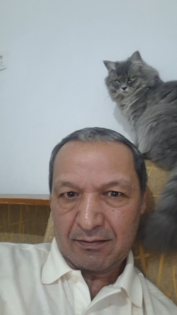 ���� 56046550 ������� ���, 54 ����, ���� ���������� � ��������