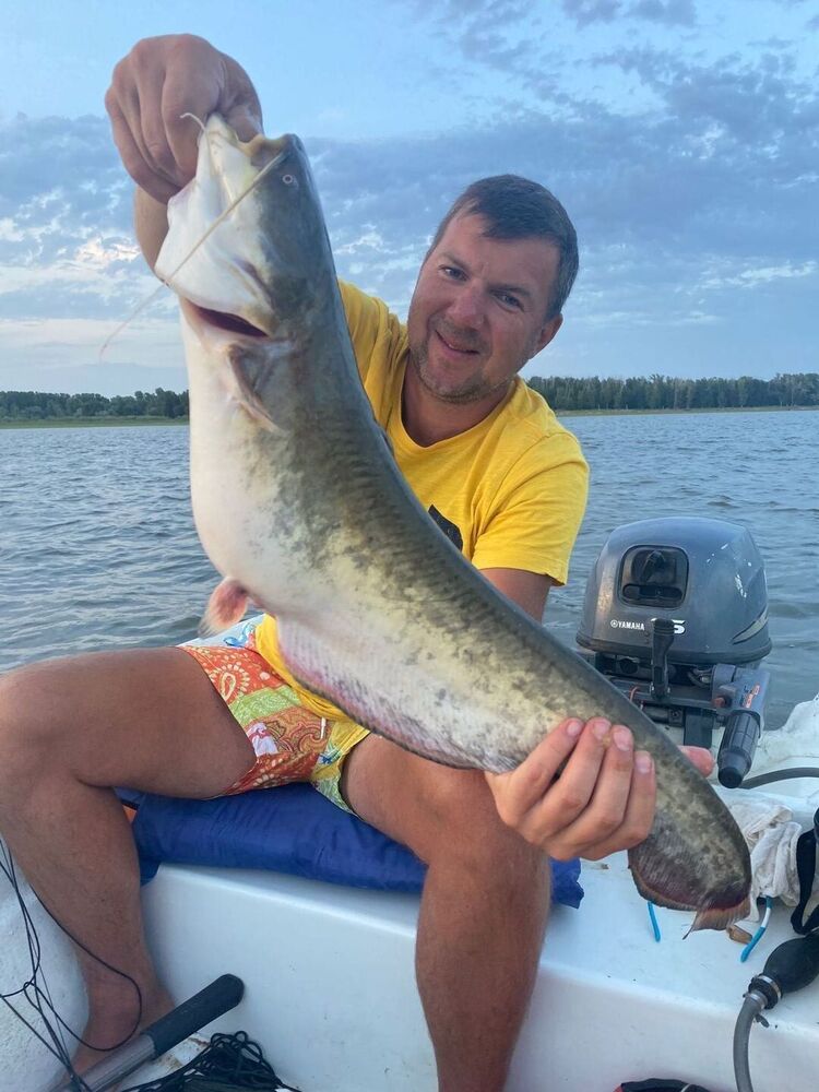 ���� 31354060 ������� ��������, 58 ���, ���� ���������� � ������