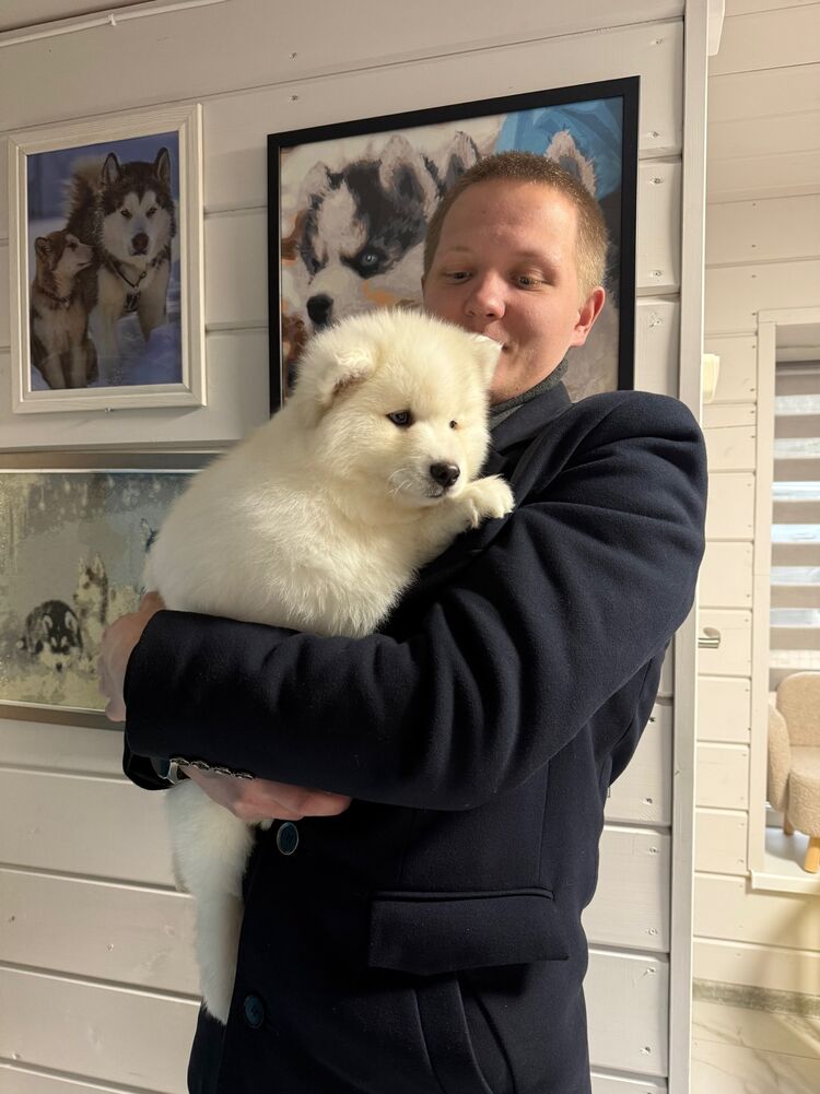 ���������� �����-���������, ���� ����� ������, 23 ����, ������������ ��� ������, ����� � ���������