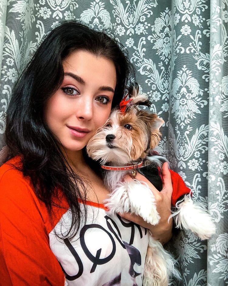 ���� 24070320 ������� �����, 33 ����, ���� ���������� � ������