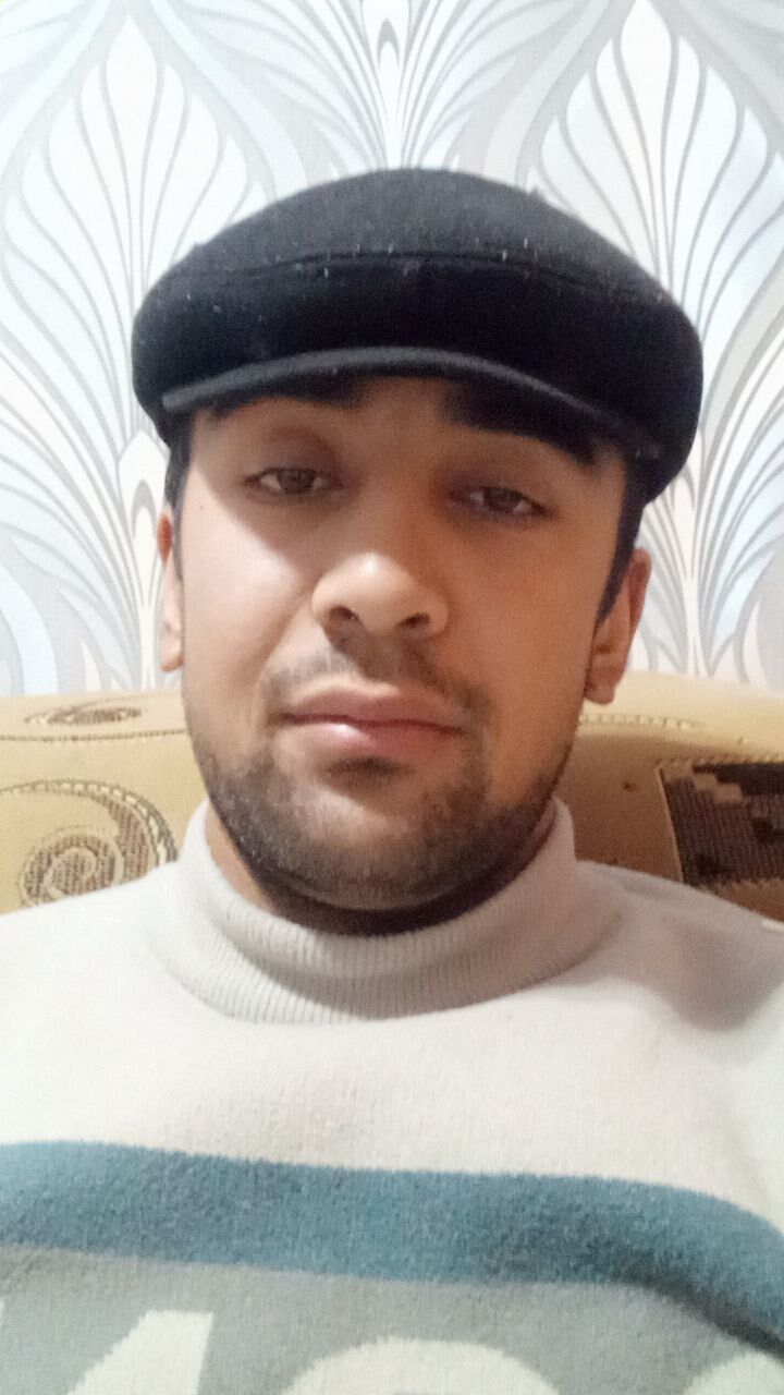  31277320  , 28 ,    