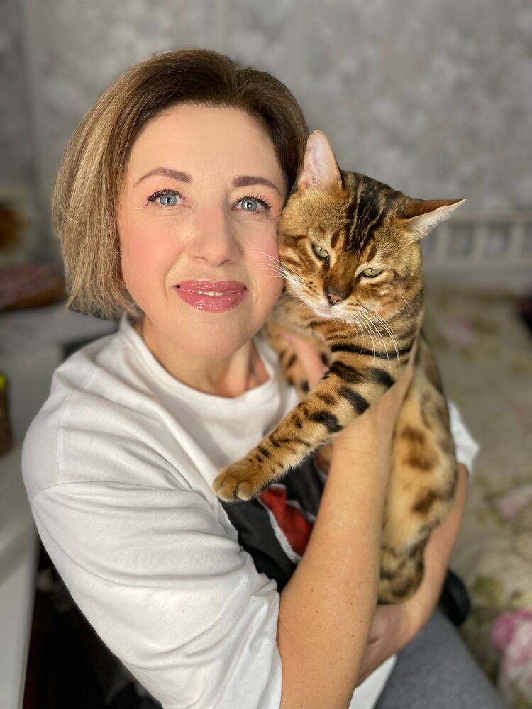 ���� 27833590 ������� ��������, 56 ���, ���� ���������� � ����������