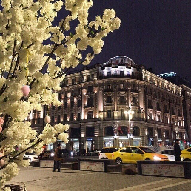 ���� 42259700 ������� Bek, 26 ���, ���� ���������� � ������